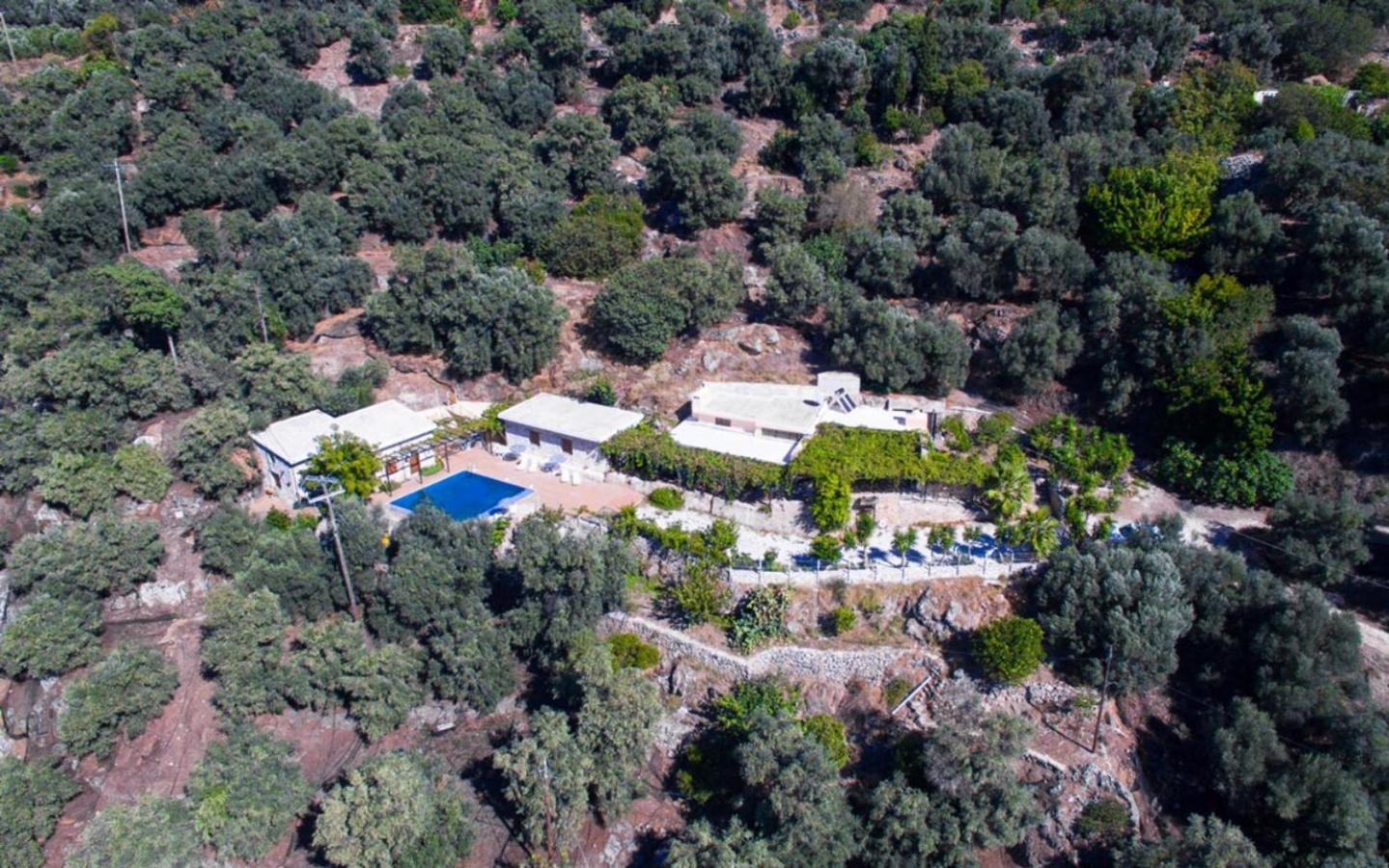 Villa Talos Palaiochora Exteriér fotografie